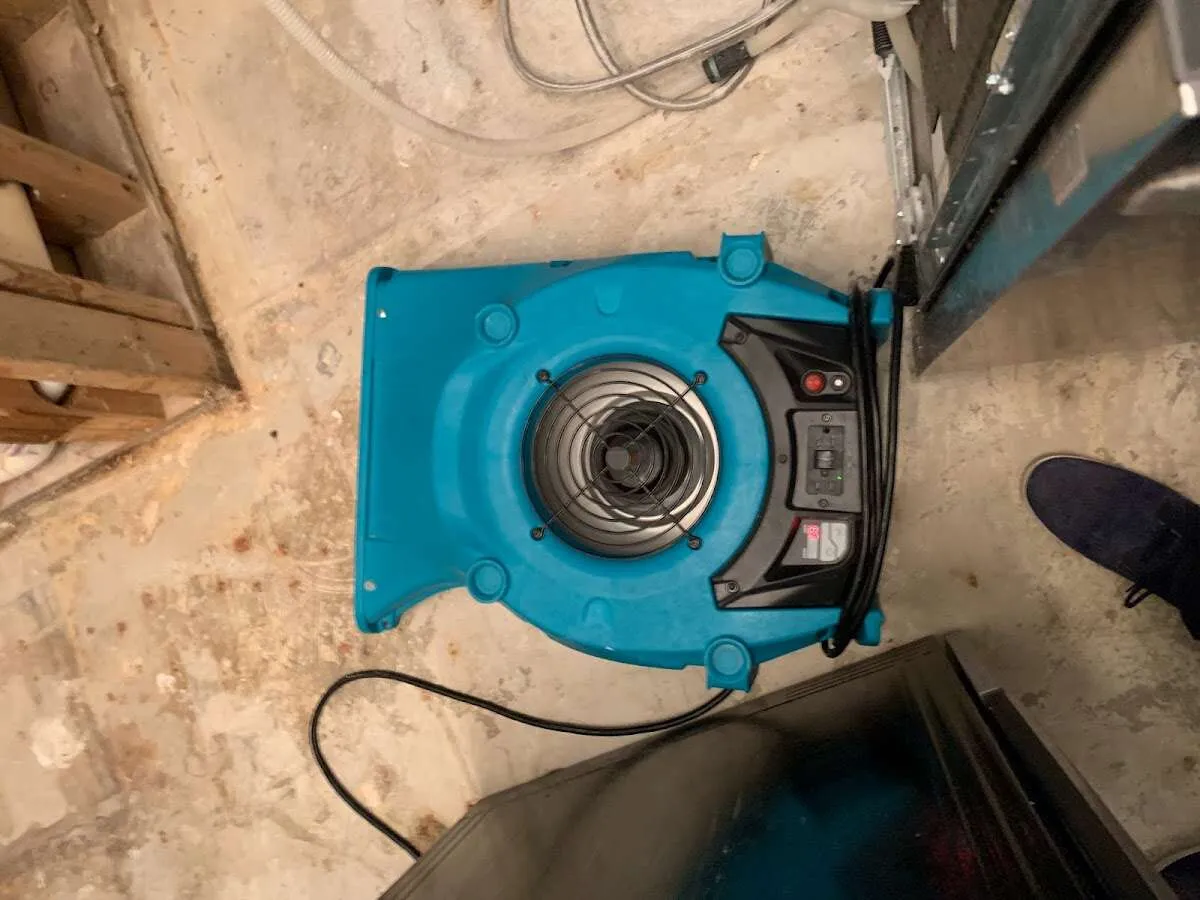 Air mover drying equipment for Mold Remediation & Removal in Lewisville